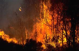 wildfire