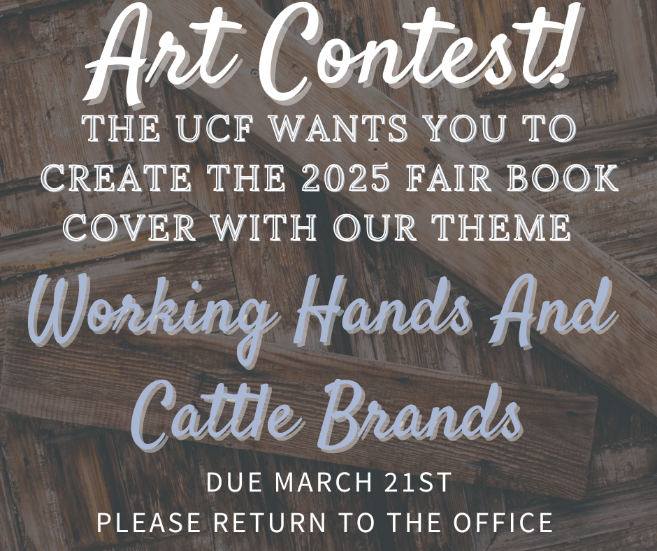 Art Contest DB post!